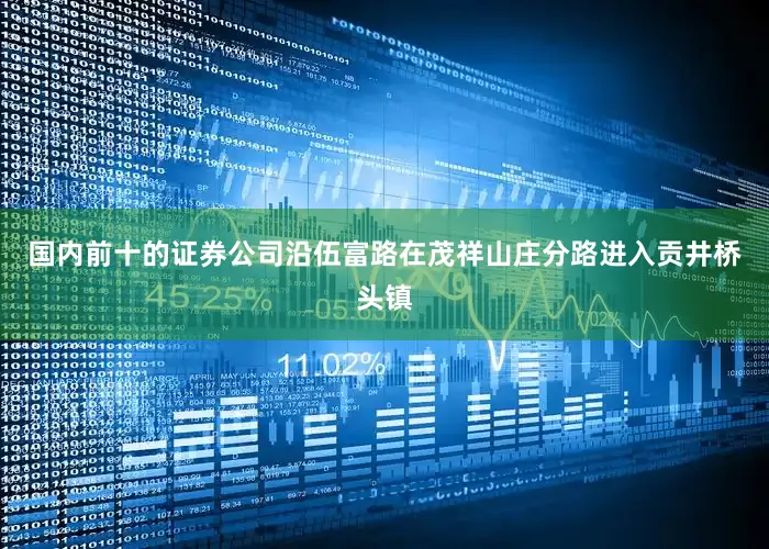 国内前十的证券公司沿伍富路在茂祥山庄分路进入贡井桥头镇