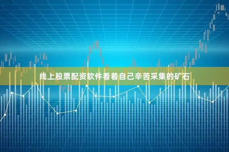 线上股票配资软件看着自己辛苦采集的矿石